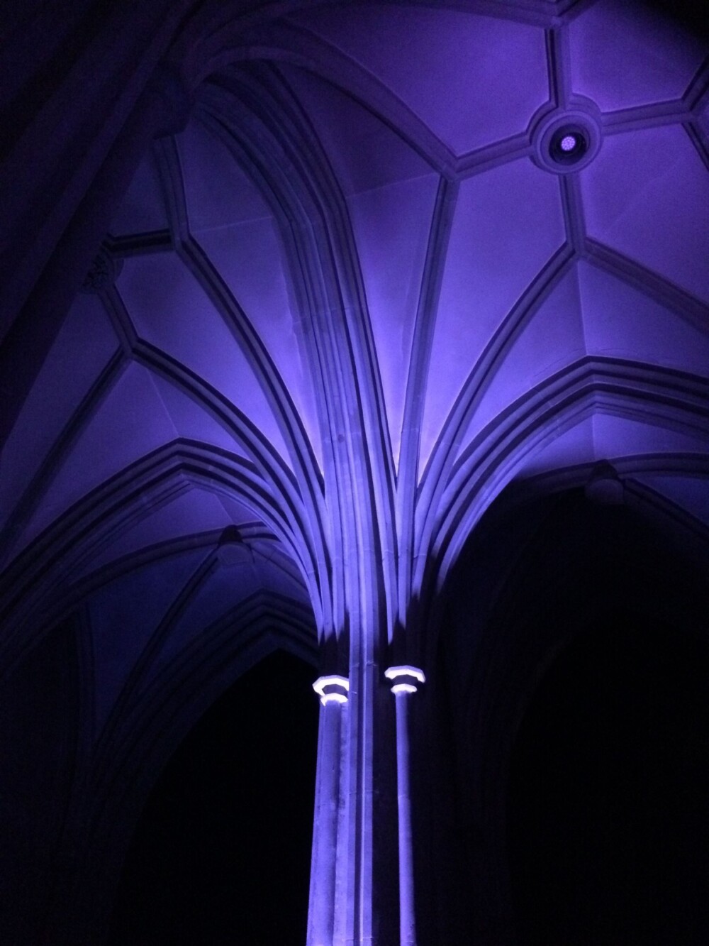 Stimmung Mu Na 2017 5