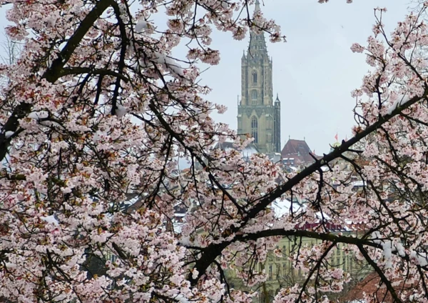 Bild ueberarbeitet resized